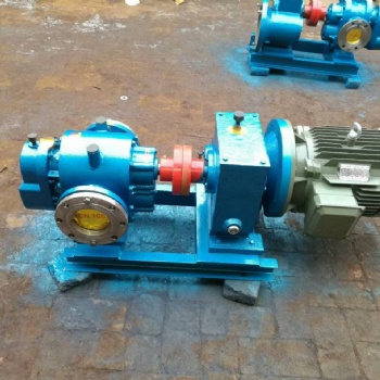 新疆罗茨泵-克拉玛依发货10台LCW-50/0.6型保温罗茨泵