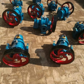 新疆原油泵供应商-沧宏润LC-50/0.6型罗茨泵-油脂膏泵