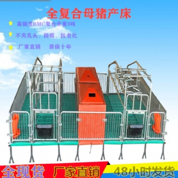 供应山东泰山新型落地式母猪产床 双体复合产床 产保一体两用