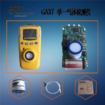 山东区加拿大BW GAXT O2气体检测仪 GAXT-X 氧气检测仪代理商