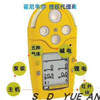 山东区加拿大BW 有机挥发性检测仪M5PID苯甲苯气体检测仪代理商