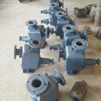 沧州宏润泵业防爆煤焦油泵-现货100CYZ-40型自吸式防爆油泵