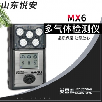 美国英思科MX6 便携式 复合式六合一气体浓度检测仪 可检18种气体