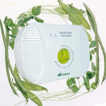 多功能活氧机 果蔬解毒机 臭氧机 臭氧消毒机
