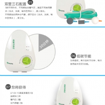 多功能活氧机 果蔬解毒机 臭氧机 臭氧消毒机