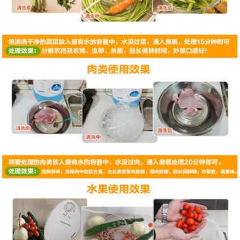 多功能果蔬净化器 活氧机 臭氧机 瓜果蔬菜机 空气消毒机