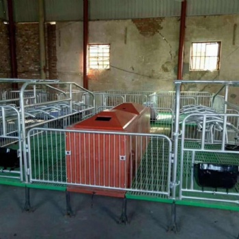猪产床母猪分娩床猪床养殖场钢板补料槽双体养猪设备加厚多功能床