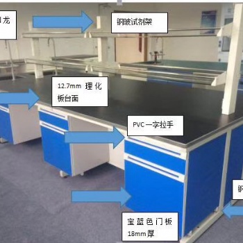 江苏常州钢木实验台定制通风柜厂家校园实验桌
