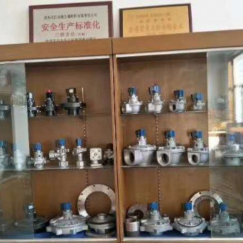 泊头汇友生产各种型号电磁脉冲阀供您选择