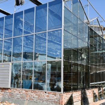 建达JD 玻璃大棚 智能温室 现代化大棚 农业大棚
