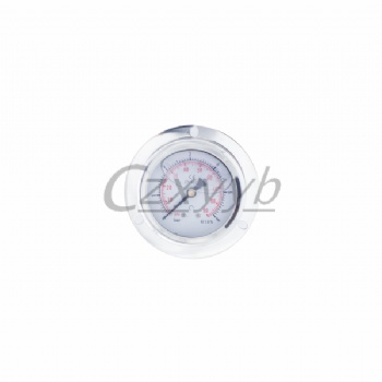 船用轴向带边耐震压力表表面 直径100MM63MM不锈钢表壳充油耐震