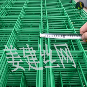 姜建丝网生产销售双边丝护栏网、果园围网、小区围栏