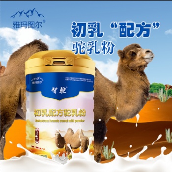 智驼初乳配方骆驼奶粉新品上市