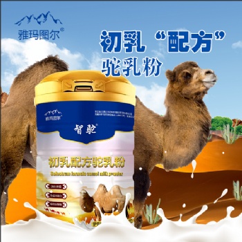 伊犁雪莲乳业智驼初乳配方驼乳粉