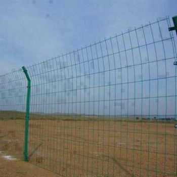 安平实体厂家姜建丝网生产销售双边丝护栏网 小区围网 果园围栏
