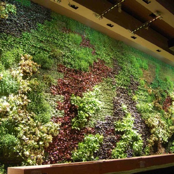全新水培植物墙花盆墙上种植物蔬菜垂直绿化塑料组合花盆工程