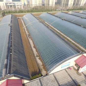 寿光旭峰农业设施有限公司是一家集温室工程设计与承建