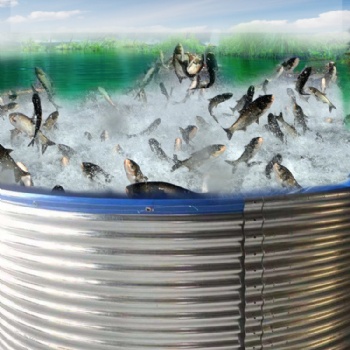 潮州市帆布鱼池水箱，防火耐寒，防静电安全环保鱼虾养殖池