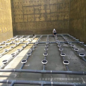 德国盘式曝气器 进口盘式曝气器 水处理盘式微孔曝气器