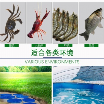 惠州市拓翔帆布鱼池水箱，防火耐寒，防静电安全环保鱼虾养