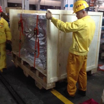 广州市专业团队进出口真空木箱包装服务（明通）