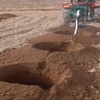 地面挖坑机 种树专业 打孔机 出土挖树窝机
