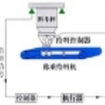 红果柏果LCS料斗电子秤