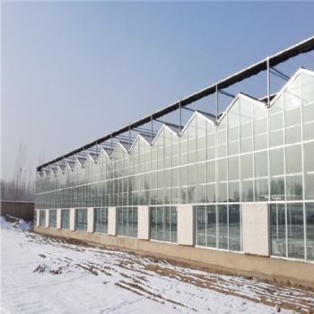 阳光板温室设备 阳光板温室大棚建造