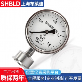 Y100BT/Z/SR/MF(316)7a-1Mpa布莱迪隔膜压力表