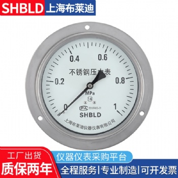上海布莱迪YB-1**,YB-150B精密压力表