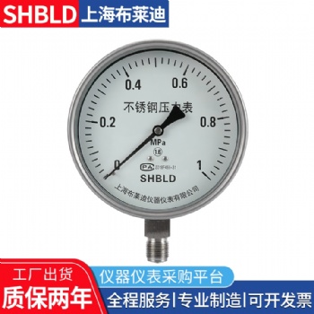 上海布莱迪Y-200,Y-250普通一般压力表气压表