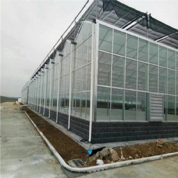 阳光板温室大棚设计 阳光板温室造价