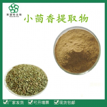 小茴香**10:1 20:1 小茴香粉 厂家供应