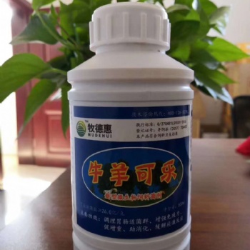 羊瘤胃积食原因 使用牧德惠牛羊可乐