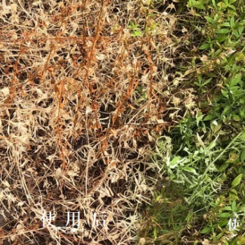 松原液态深层发酵无添加除草醋