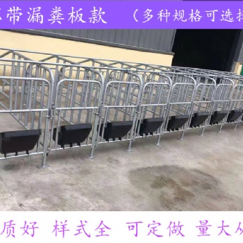 母猪限位栏 10猪位 可定制