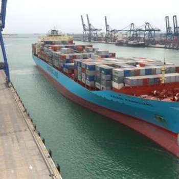国际进出口及国内沿海的散货和集装箱的业务代理