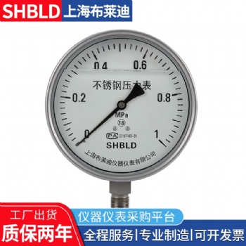 布莱迪Y-153BF YTF-150HZT不锈钢耐高温压力表