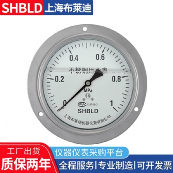 布莱迪YCSH/YCS-100测无腐蚀性非结晶凝固双针压力表