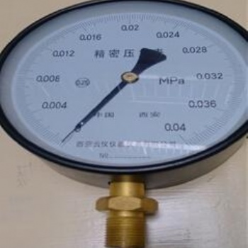 ACD-102数字压力变送器-带防爆数字压力表-可二次显示压力表