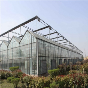 金坤阳光板温室设计 阳光板温室服务