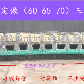 母猪限位栏 加宽加高可定制 畜牧养殖设备