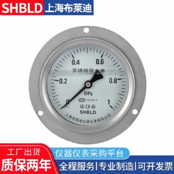 布莱迪YPF-100B-Z不锈钢耐震膜片压力表