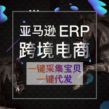 山东亚马逊教学培训ERP系统数据私有化独立部署体系搭建ERP系统OEM贴牌招商孵化