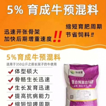 牛长个子用牧德惠育成牛预混料饲喂