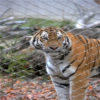 动物围栏,动物园用网,动物笼舍网