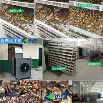 香菇烘干、杏鲍菇烘干#金凯空气能烘干设备#广州厂家直售