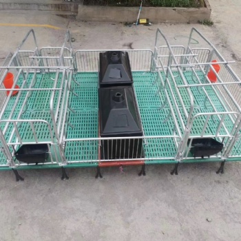 复合双体产床 保育一体床 母猪产床