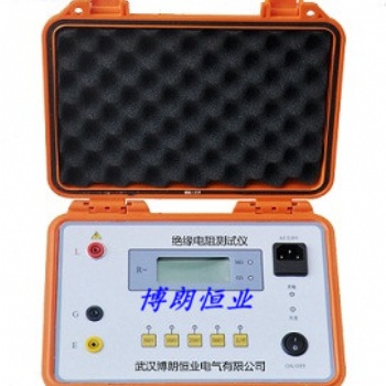 数字式摇表2500V