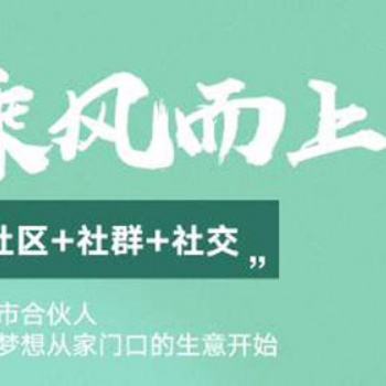 社交电商优解——社区团购